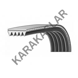 Accord Şarj Dinamo Kayışı 1990-1993